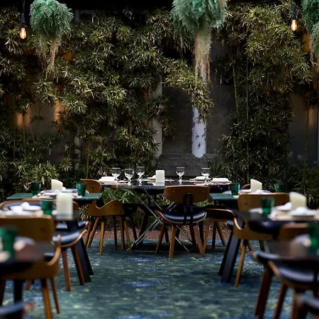 Hotel Octant